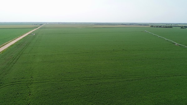 159 Acre Adams County, Nebraska Pivot Irrigated LAND AUCTION - SOLD ...