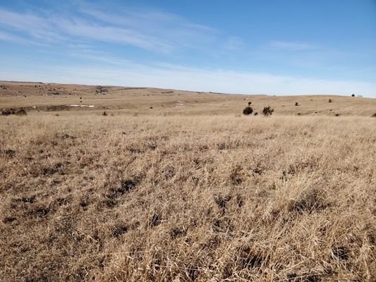 877 Acres 4 Tracts Valley County Nebraska Pivot Irrigated & Pasture ...