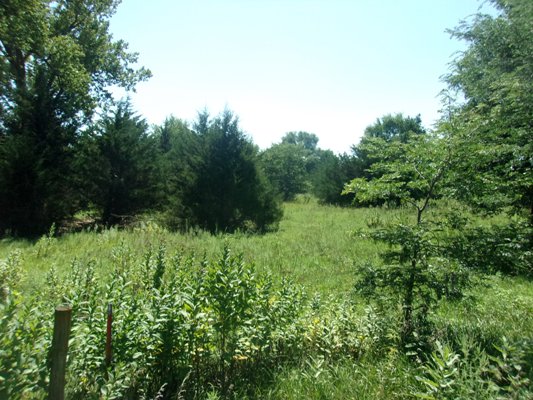 436.59 Acre Merrick County Land Auction | Ruhter Auction & Realty