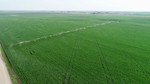 loskill 160 acres adams county nebraska farmland for sale pivot irrigated ruhter auction realty (7)