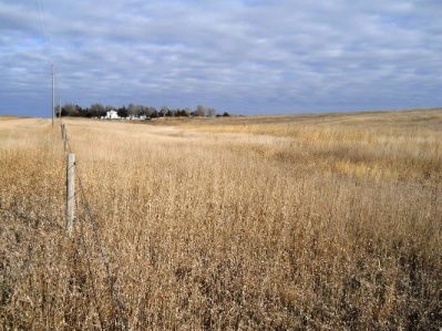 Elliott Acreage (18)