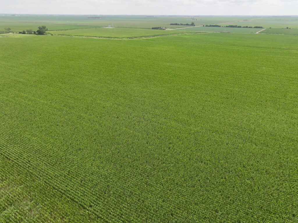 149.49 Acres Hall County