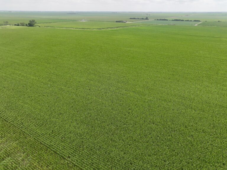 149.49 Acres Hall County
