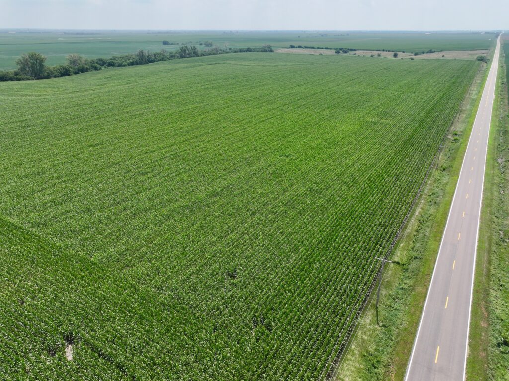 80.18 Acres in Kearney County, Nebraska
