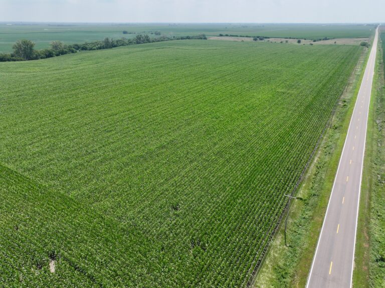 80.18 Acres in Kearney County, Nebraska