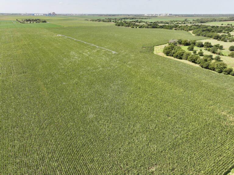 217.78 Acres Adams County, NE