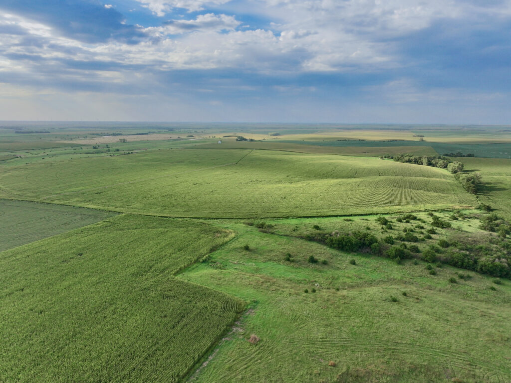 Choquette Land Auction