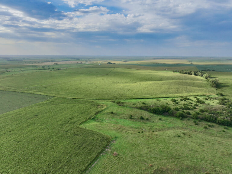 Choquette Land Auction