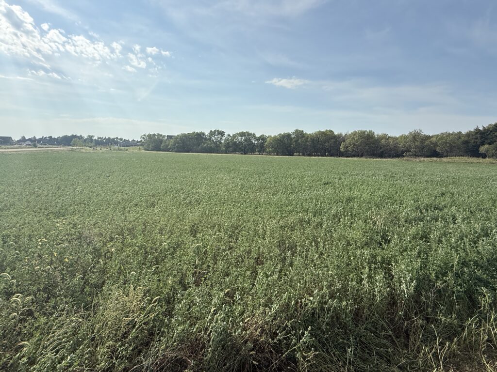 Marquette Acreage