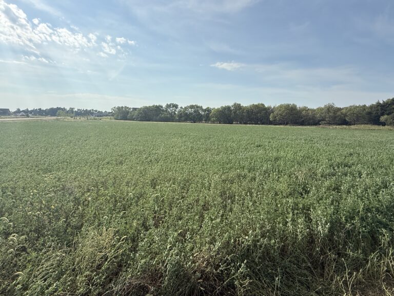 Marquette Acreage