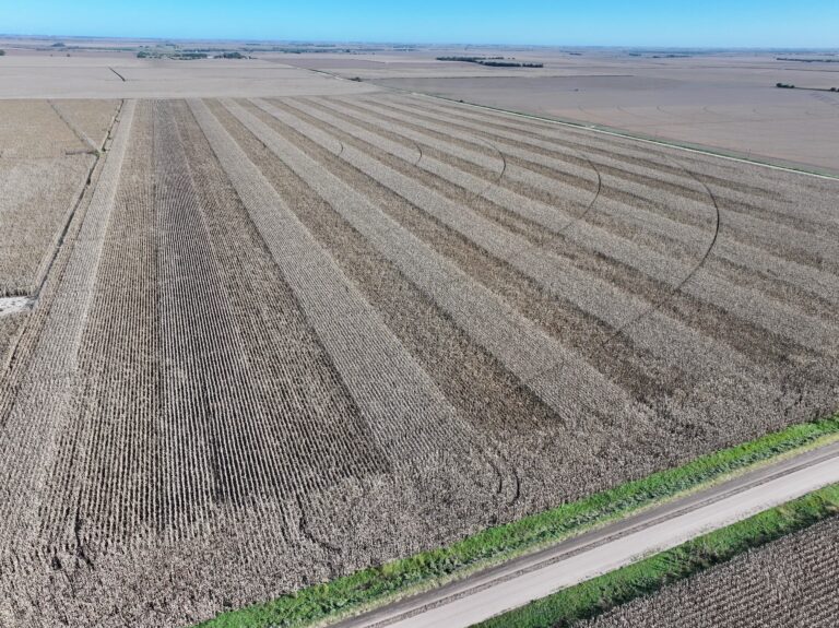 79.29 Irrigated Cropland Acres in Clay County, Nebraska